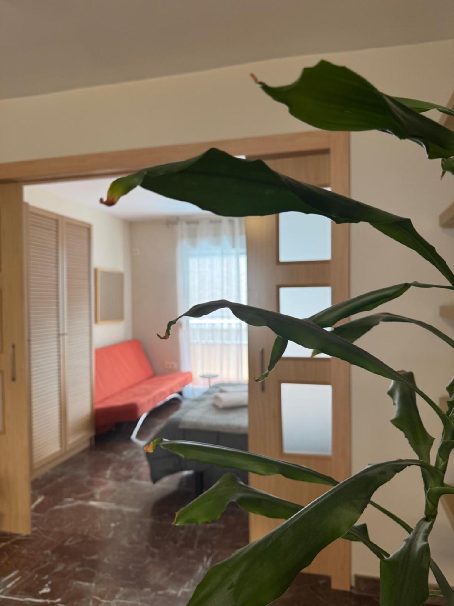 Constitucion Suite Confort D Granada Kültér fotó